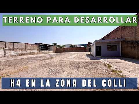 Previsualización del video