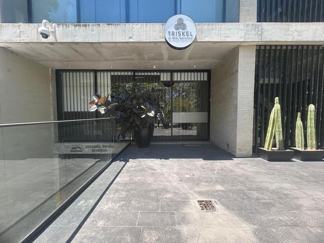 Foto de la galeria de imagenes